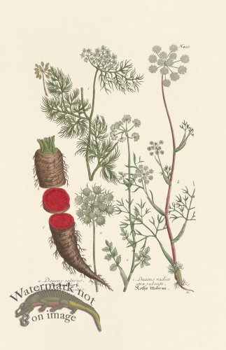 (image for) Weinmann PL 459