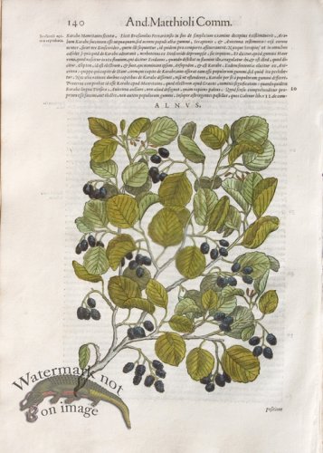 (image for) WB Botanicals 10