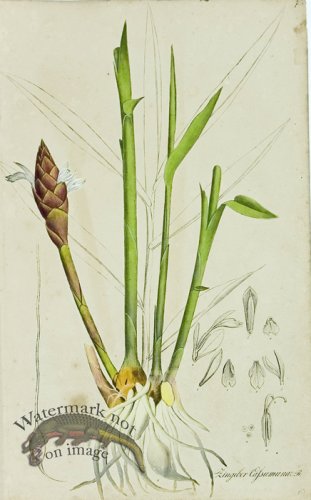 (image for) 1828_Gmp 029