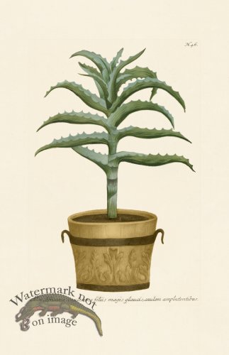 (image for) Weinmann PL 046