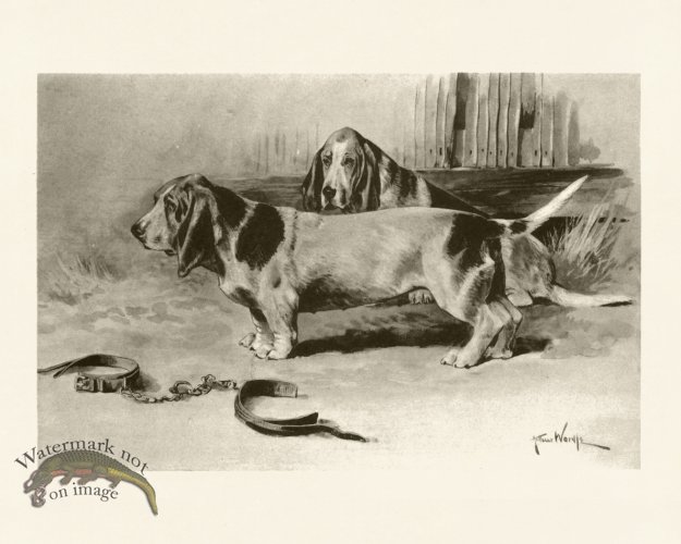 (image for) Modern Dogs 22