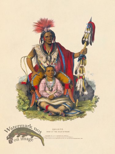 (image for) Keokuk Sacs Foxes