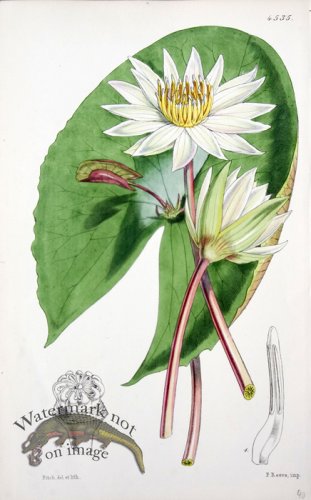 (image for) CBMS_0021