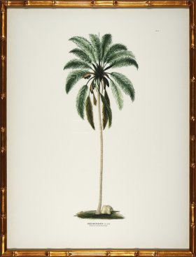 Palm trees in Gold Bamboo 01