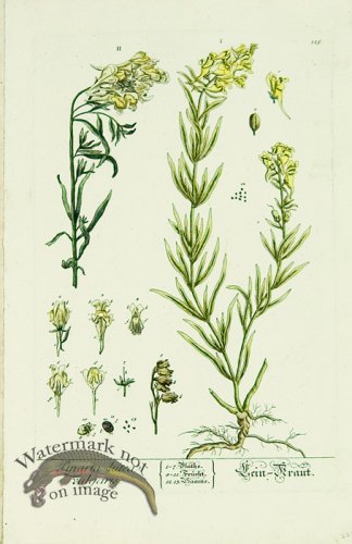 (image for) Blackwell German 207