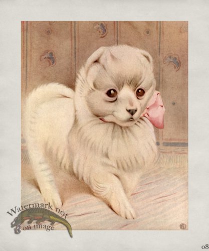 (image for) Puppy Dog 08