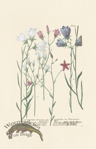 (image for) Weinmann PL 290