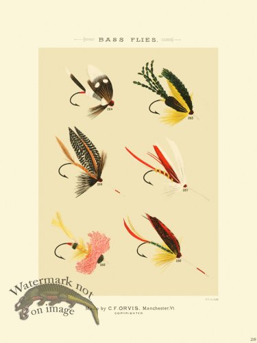 (image for) Favorite Flies 28 Bass