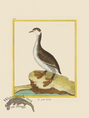 (image for) Martinet Bird 942