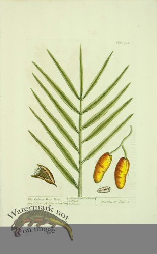 (image for) Blackwell E 18