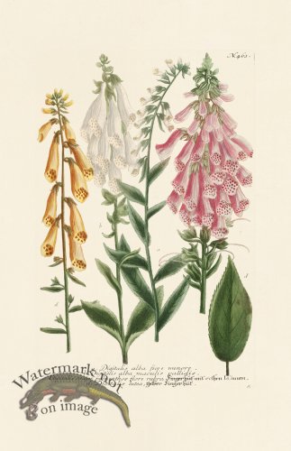 (image for) Weinmann PL 463