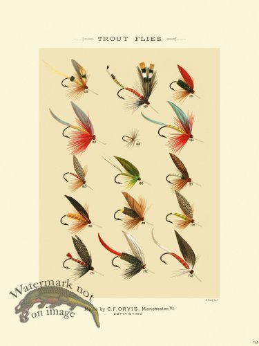 (image for) Favorite Flies 18 Trout