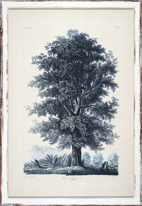 Blue Trees in Distressed White 02