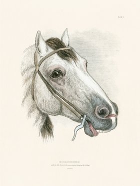 (image for) Jar Horse 09