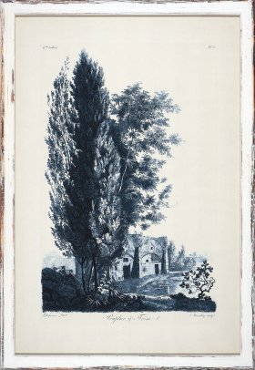 Blue Trees in Distressed White 11