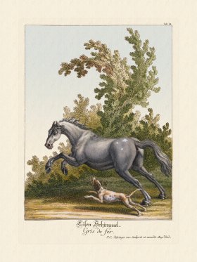 (image for) Ridingers Horses 24