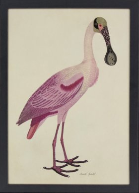 Tribute BFs 02 -- Spoonbill
