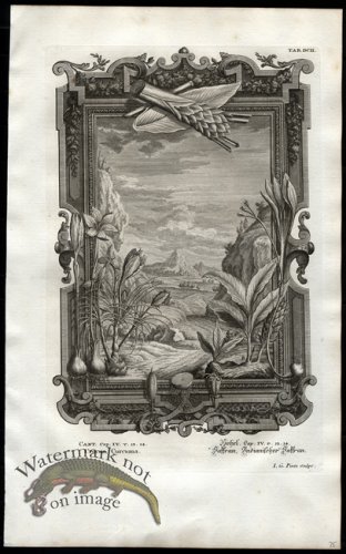 (image for) Scheuchzer 03