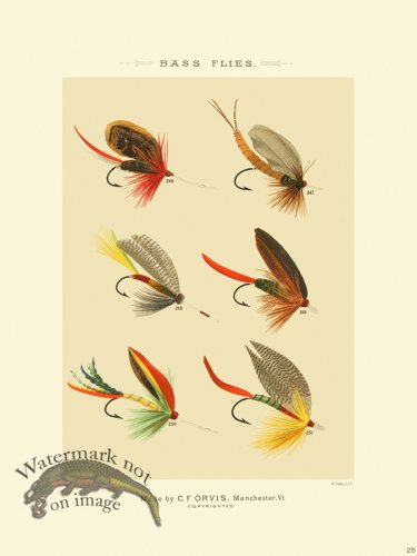 (image for) Favorite Flies 25 Bass