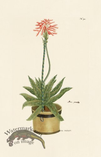 (image for) Weinmann PL 070