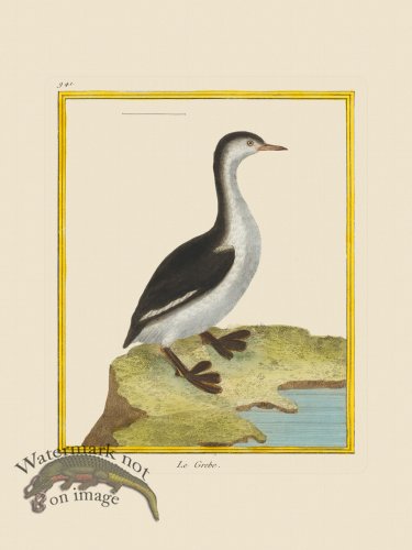 (image for) Martinet Bird 941