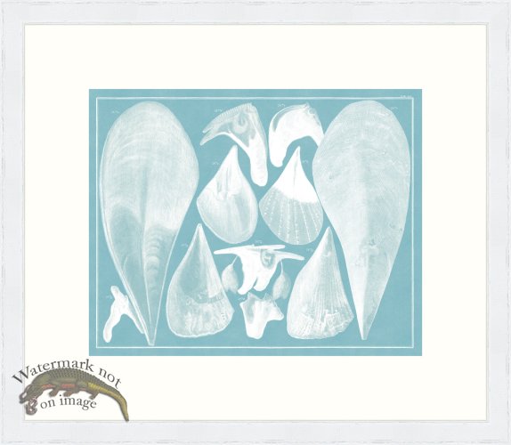 Seba B2 091 Claim WFBP