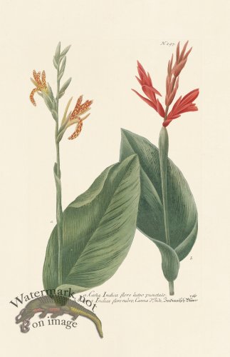 (image for) Weinmann PL 297