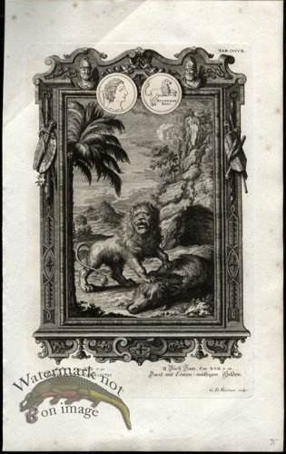 (image for) Scheuchzer 20