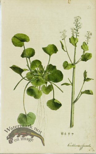 (image for) 1828_Gmp 083