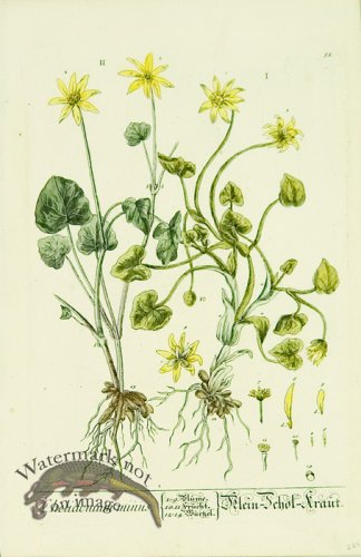 Blackwell German 205