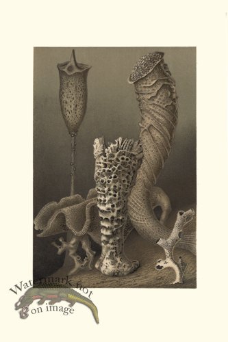 (image for) Underwater 10