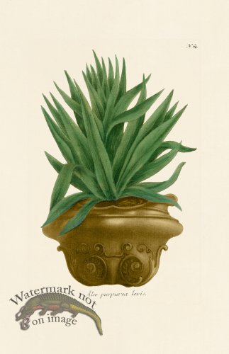 (image for) Weinmann PL 064