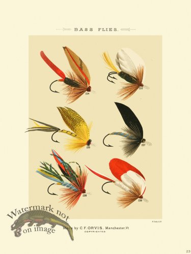 (image for) Favorite Flies 23 Bass