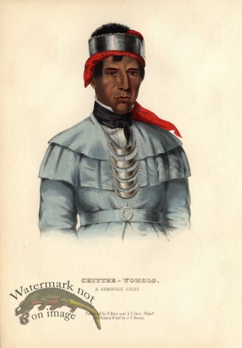 (image for) Chittee-Yoholo