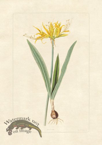 (image for) Edward bury 3