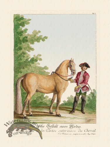 (image for) Ridingers Horses 03