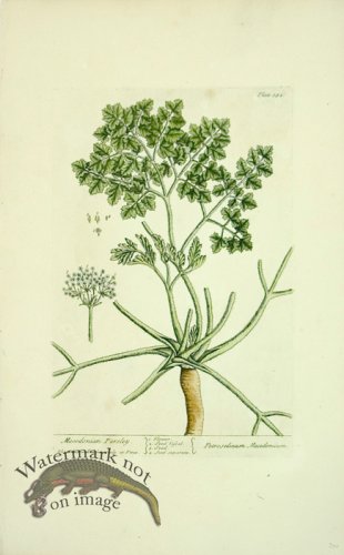 (image for) Blackwell E 28