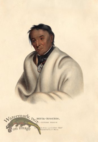 (image for) Meta-Koosega