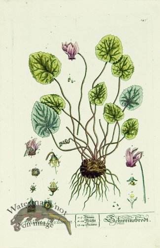 (image for) Blackwell German 189