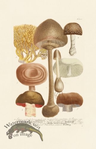 (image for) Weinmann PL 525