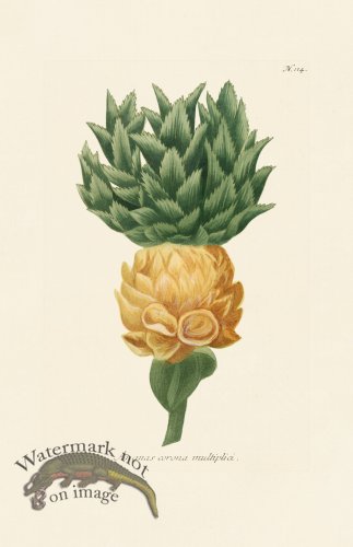 (image for) Weinmann PL 114