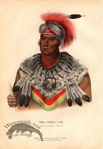 (image for) Wa-Pel-La