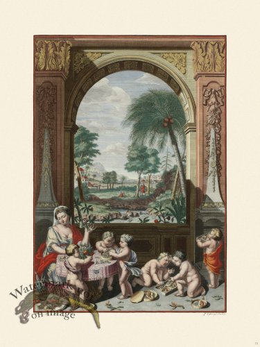 (image for) Merian Metamorphosis 73