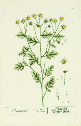 Blackwell German 140