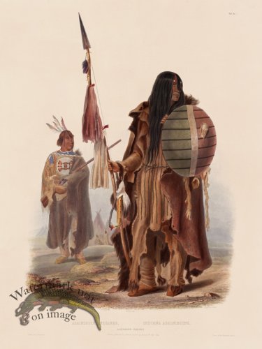 (image for) 32 Pitetapiu