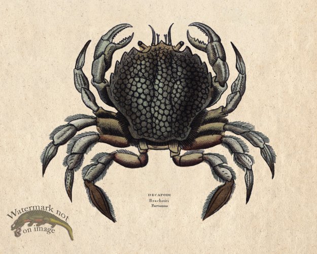 (image for) Sand_Soldier_10