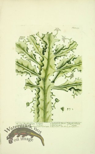 (image for) Blackwell E 48