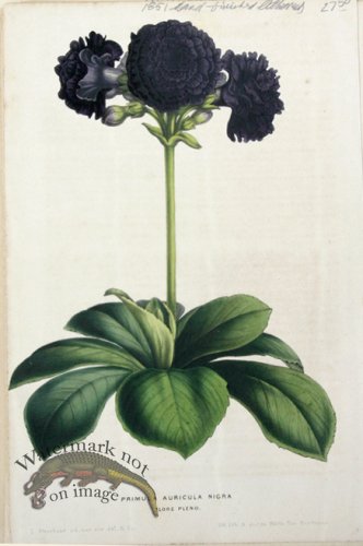 (image for) Houtteano_Bot_017