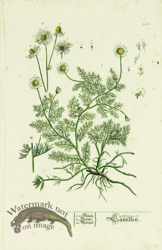 (image for) Blackwell German 236