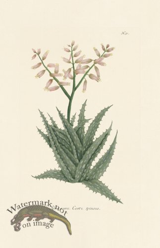 (image for) Weinmann PL 051